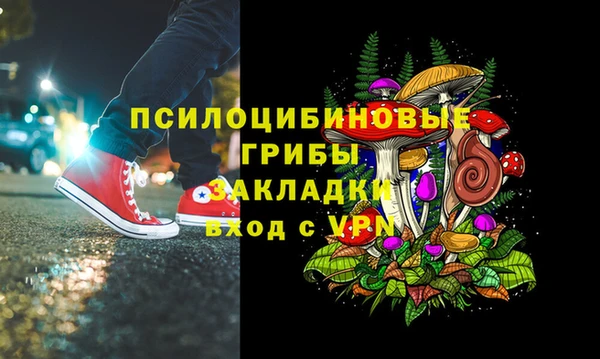 спайс Кулебаки
