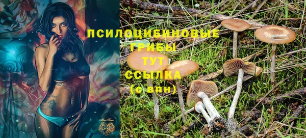 PSILOCYBIN Алексин